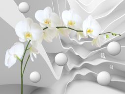 Фотообои Белые 3D орхидея