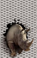 Фотообои Носорог через стену
